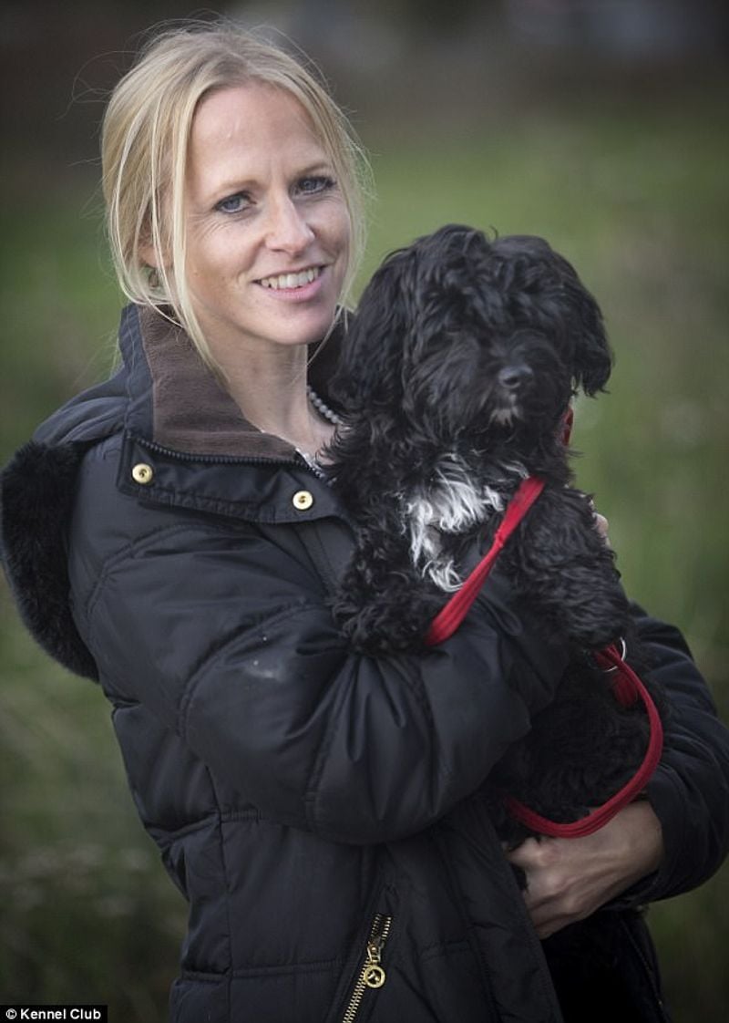 Havanese
