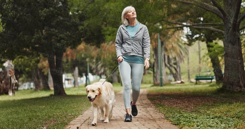 Keep Them Moving with Daily Walks