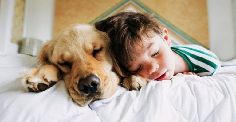 Is It Safe to Sleep With Your Pet? Here’s 7 What You Need to Know