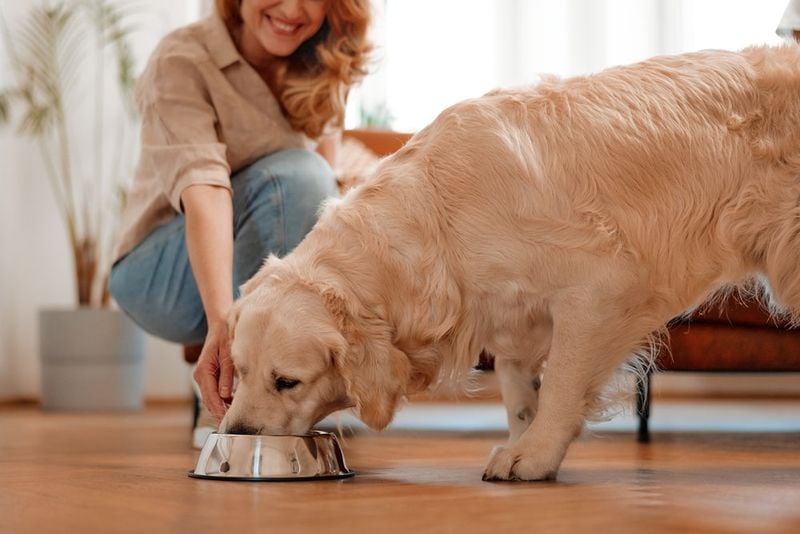 Premium Nutrition Matters