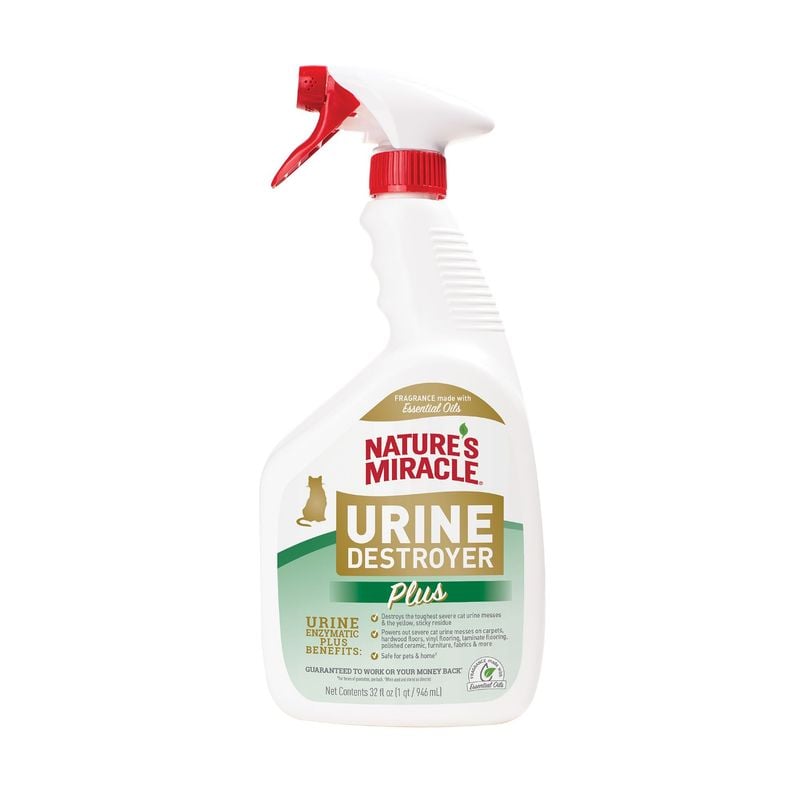 Attack Accidents With Enzyme Cleaners