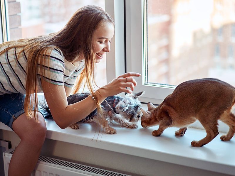 Reward calm behavior