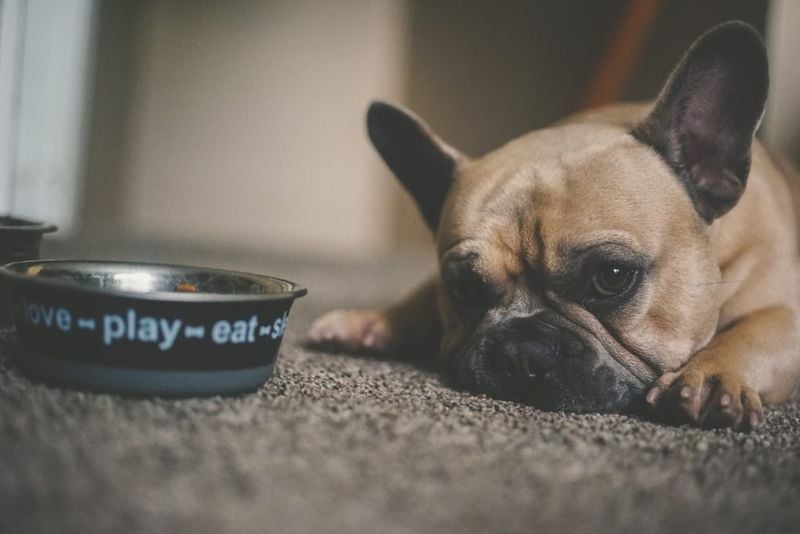 Appetite Fades Away