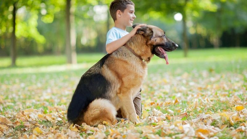 Suitability for First-Time Owners