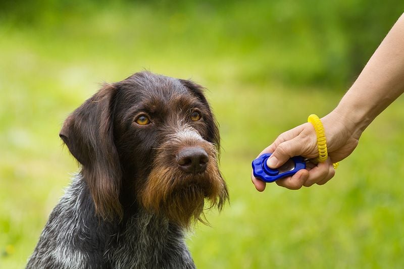 Using Harsh Training Tools