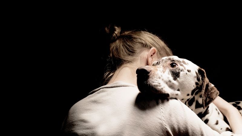 You’re Comforted in Grief Without Knowing Why
