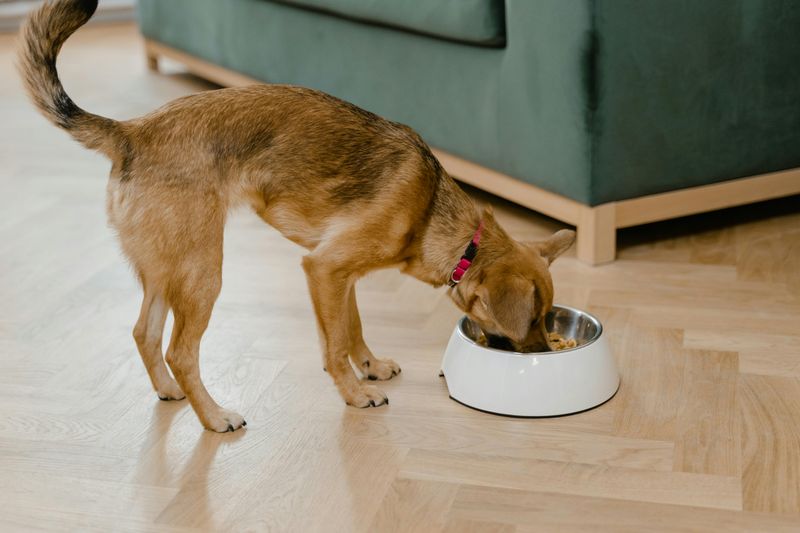 Meal-Time Reliability