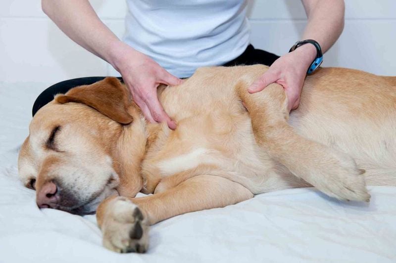Give them a relaxing massage
