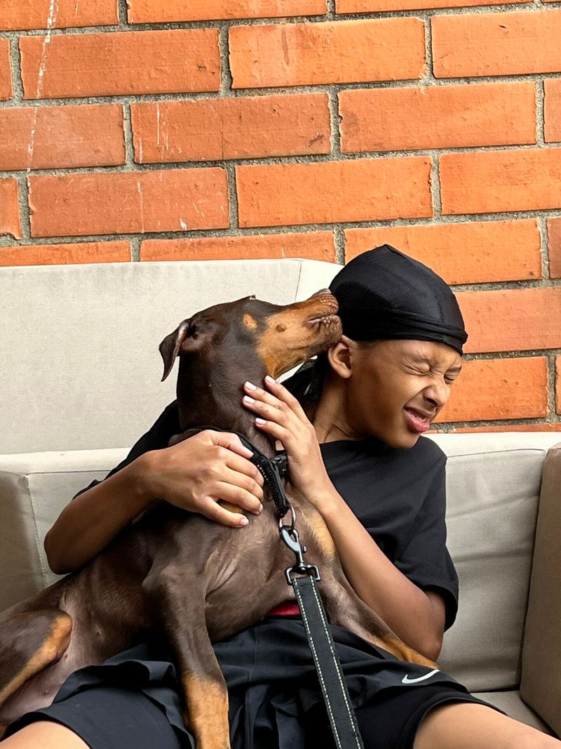 Doberman Pinscher: Velvet Warriors