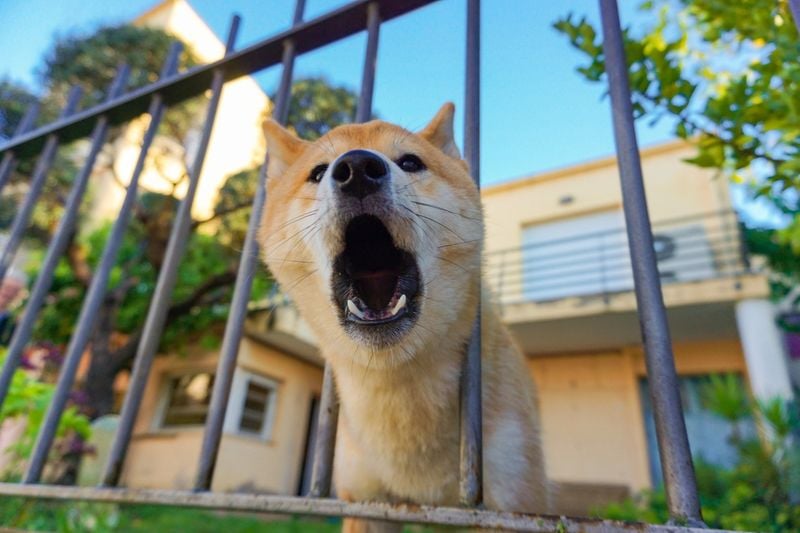 Built-in Security System