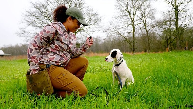 Consistency Creates Well-Adjusted Adult Dogs