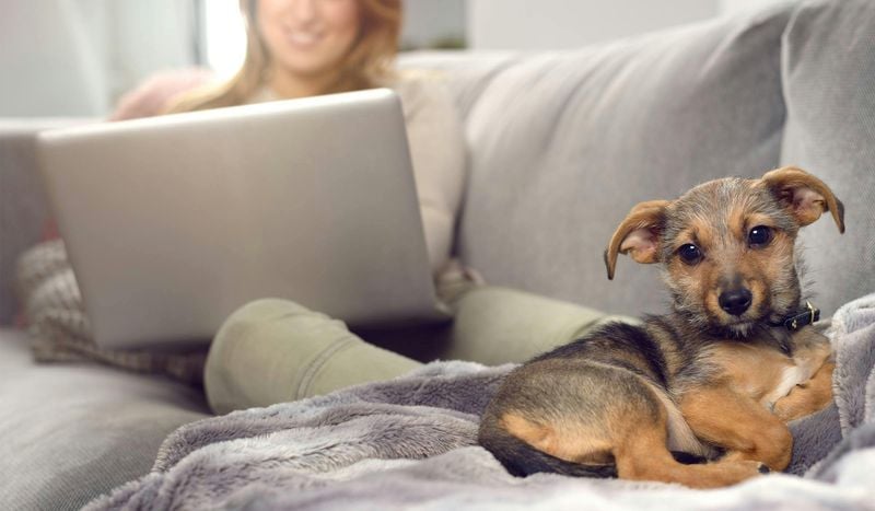 Respect Their Personal Space—Even When You’re Craving Cuddles