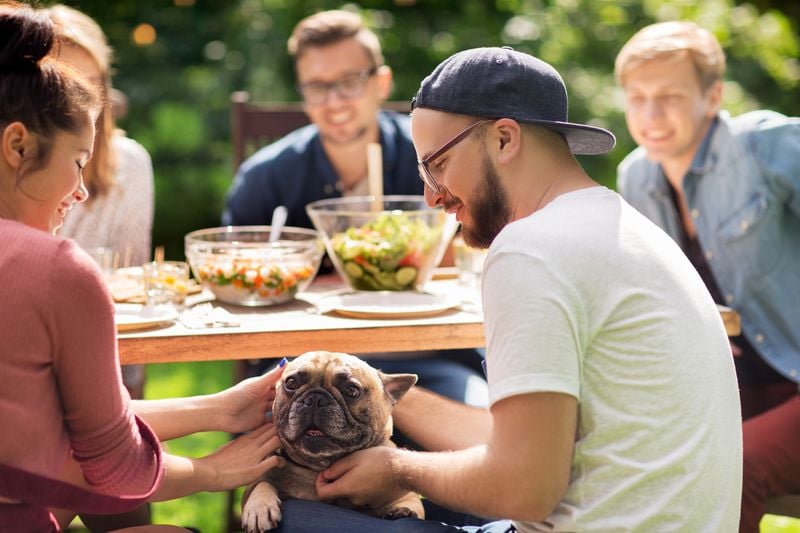 More Social Companions