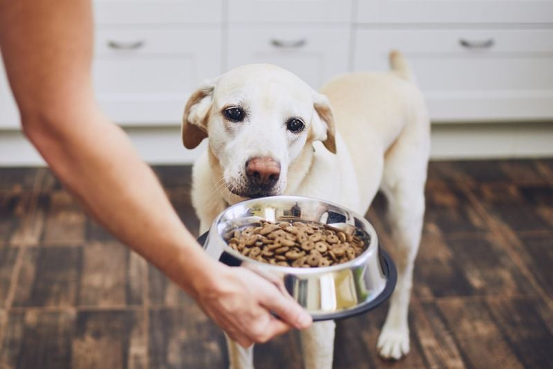 Feeding Schedules