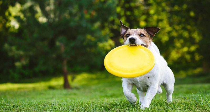 Skimping on Exercise Needs
