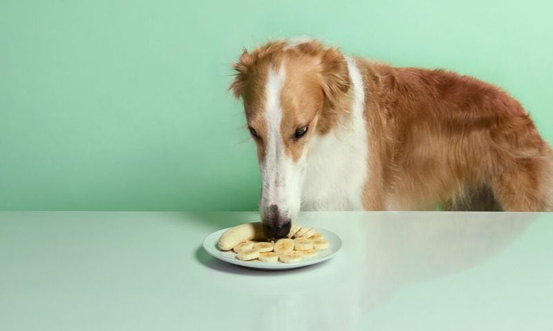 Bananas