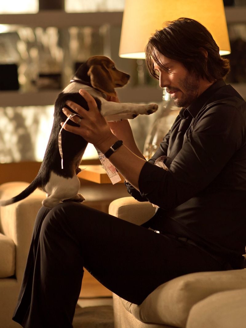 Daisy (John Wick)