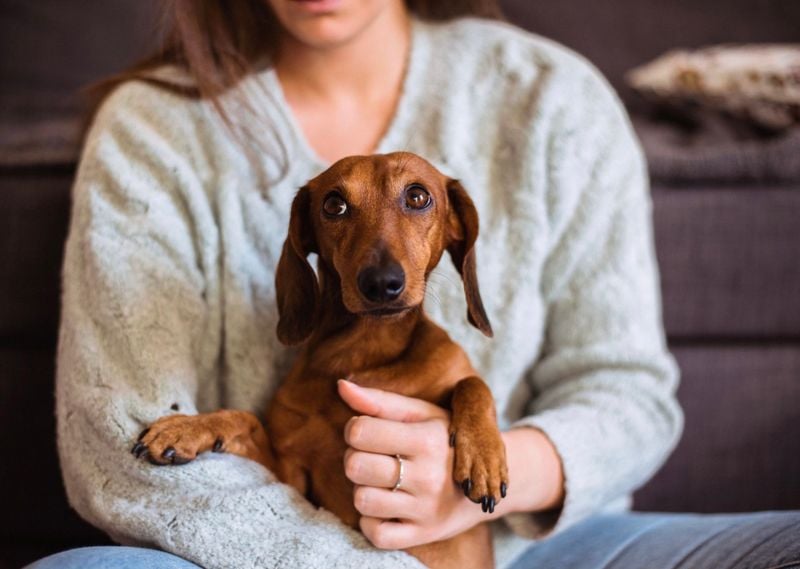 Generalized Anxiety Disorder: Constant Worry Without Clear Triggers