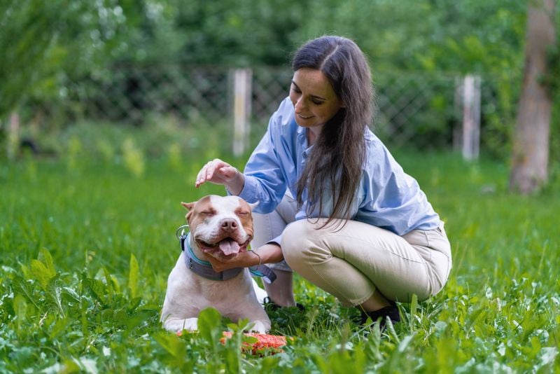 Not Ideal for First-Time Dog Owners