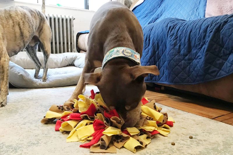 DIY Scent Games