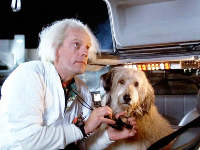 Einstein (Back to the Future)