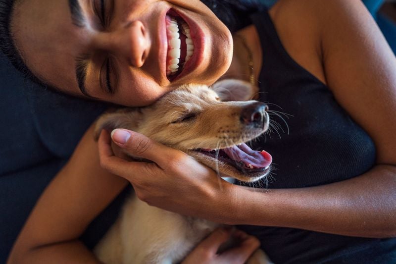 Affection as Reward, Not Default