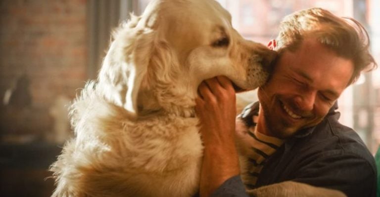 Sorry, Cat Lovers – 15 Ways Dogs Prove They’re Better Than Cats