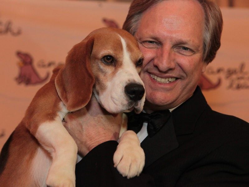 Beagle