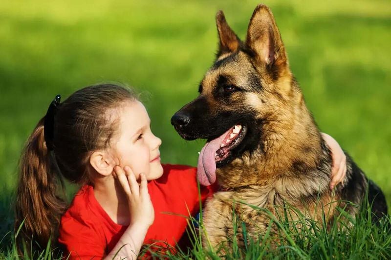Great with Kids (When Socialized Well)
