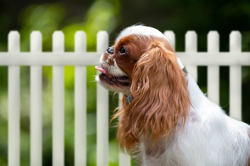 Long Lifespan with Proper Care