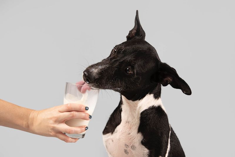 Kefir: Probiotic Powerhouse