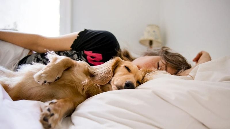 Sleeping Next to You