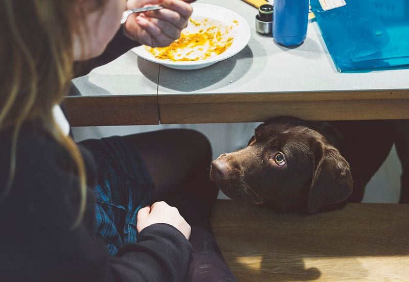 You’ll Never Eat Alone Again