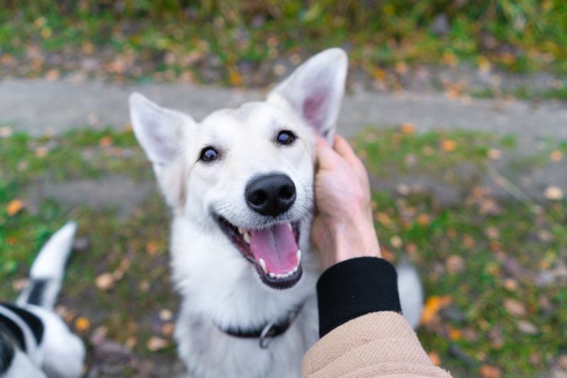 Gentle Eye Communication