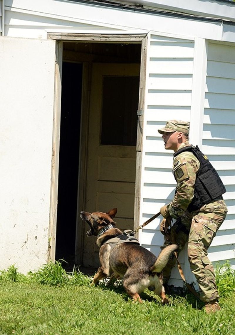 Prisoner and Suspect Apprehension