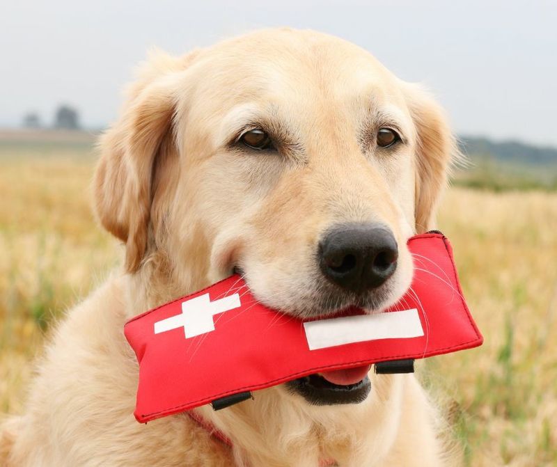 Emergency Preparedness
