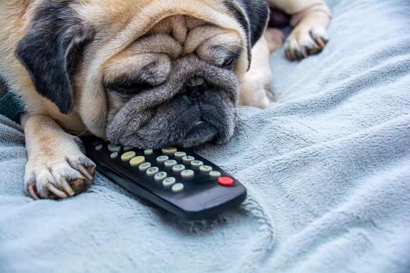 They Never Hog the Remote
