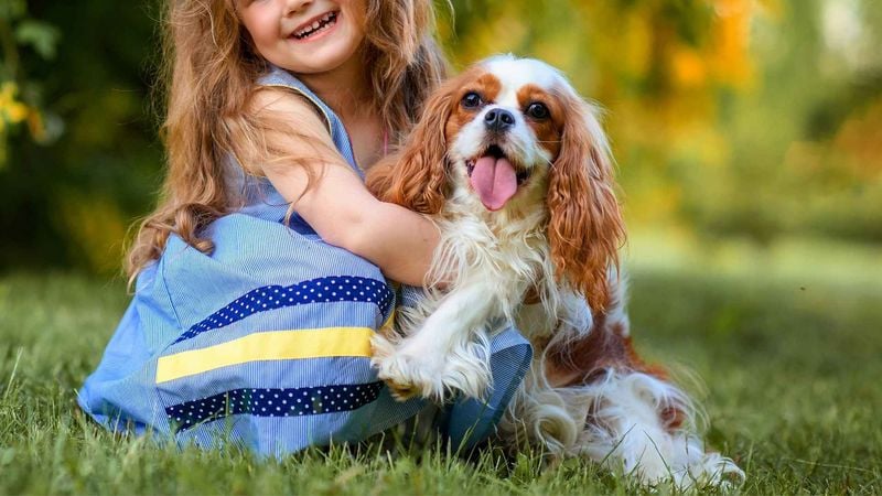 Family-Friendly Temperament That Shines With Children