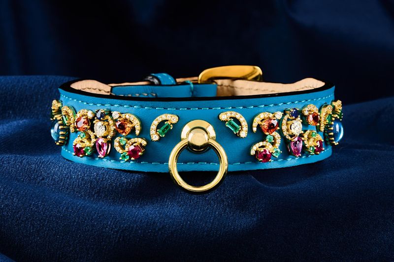 Designer Collars & Accessories