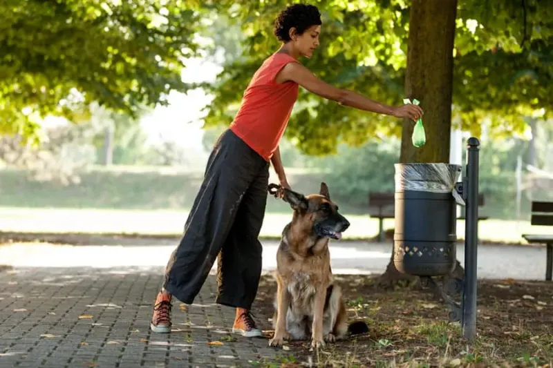 Refusing to Pick Up After Their Dog