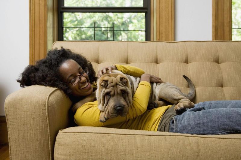 Cuddling with Their Human