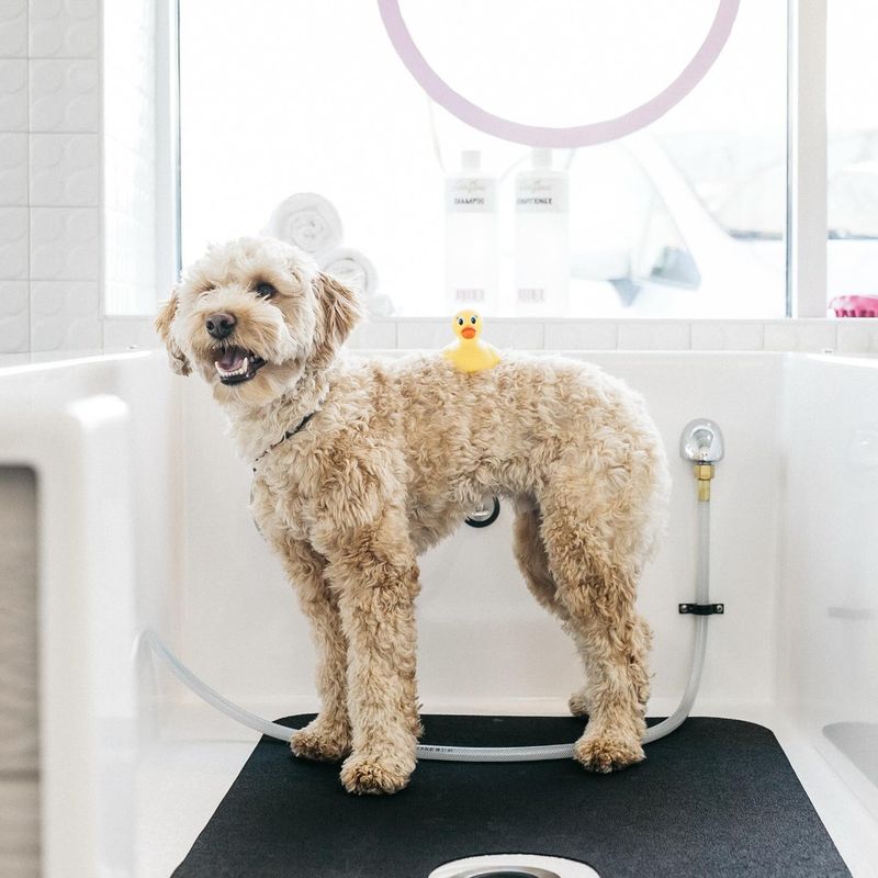 Regular Bathing Schedule