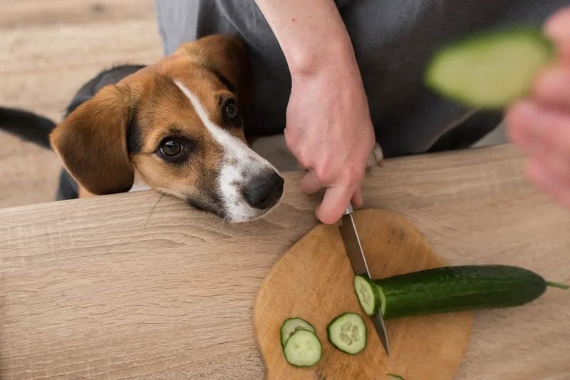 Cucumber: Hydrating Low-Calorie Snack
