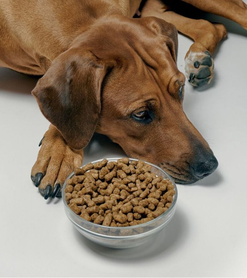 Loss of Appetite Signals Emotional Distress