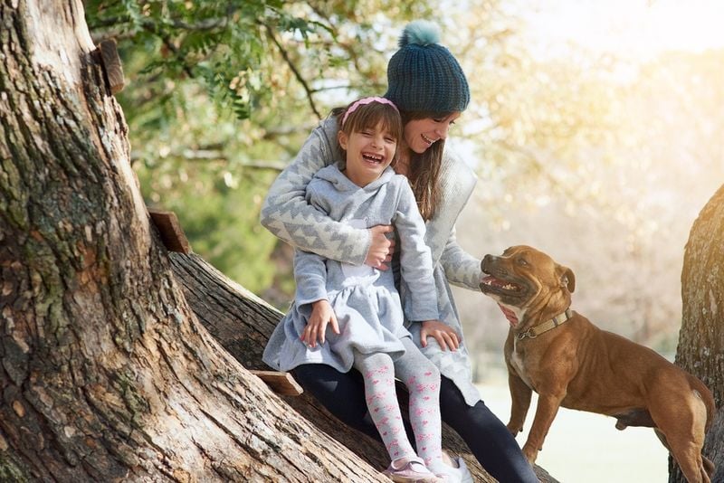 Excellent Family Dogs