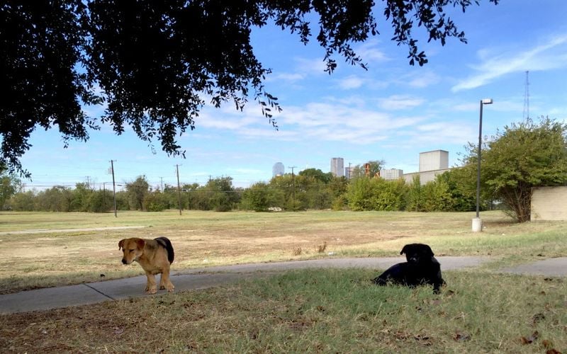 Texas