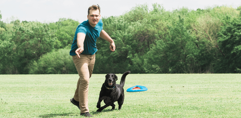 Engaging in Daily Play or Training Sessions