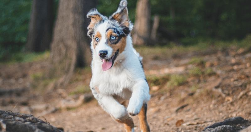 Energy Levels That Overwhelm