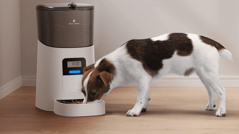 Invest in an Automatic Treat Dispenser