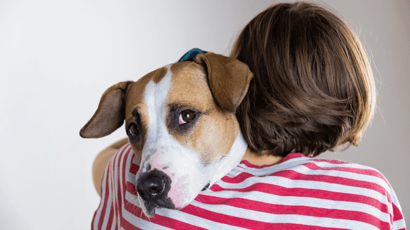 All Dogs Love Hugs